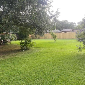 landscape maintenance by Aurora's Dream Lawn Creations reviewed on August 21, 2025