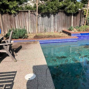 Bush Trimming by ASA Quality Services LLC reviewed on January 27, 2026