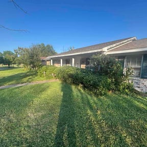 Bush Trimming by Meridian Management Group LLC reviewed on October 21, 2025