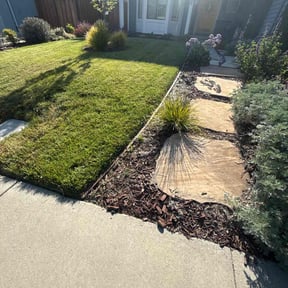 gardening service by MCC Property Preservationr reviewed on August 15, 2025