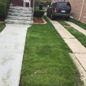 Bush Trimming by Family Lawn Care reviewed on August 13, 2025