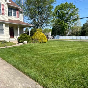 yard work by square yard reviewed on August 18, 2025
