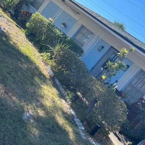 Bush Trimming by #1TLC reviewed on November 21, 2025