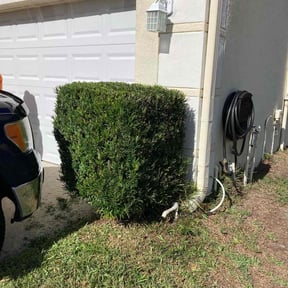 Bush Trimming by Ultimate Landscape Contractor reviewed on August 15, 2025