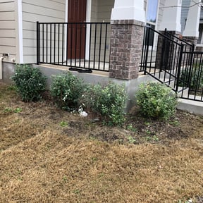 Bush Trimming by OC top notch services reviewed on August 18, 2025