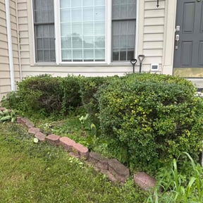 Bush Trimming by Nice Lawns on Wheels reviewed on December 12, 2025