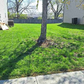 residential landscaping by Good Guys Lawn and Fence reviewed on August 15, 2025