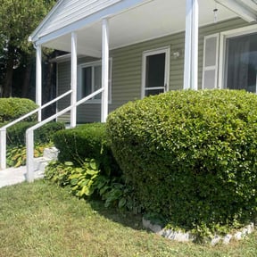 Bush Trimming by Ortega lawn services LL reviewed on December 18, 2025