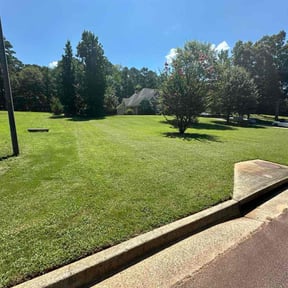 yard maintenance by Vazquez Exterior Maintenance reviewed on August 20, 2025
