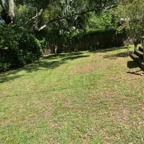 Bush Trimming by Patrick's landscaping reviewed on August 21, 2025