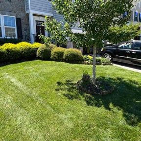 gardening service by Carlos Torres Ayala reviewed on August 16, 2025