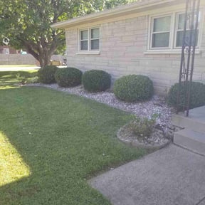 Bush Trimming by Big Bear Lawn Care reviewed on October 27, 2023