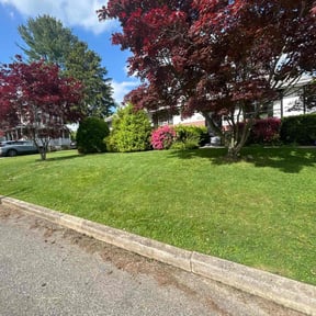 lawn maintenance by Bishop Landscaping &amp; Lawn Care reviewed on August 18, 2025