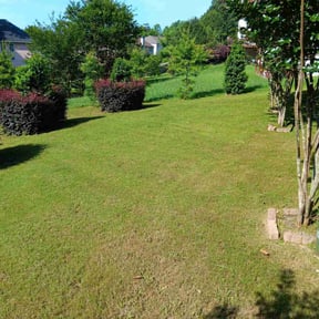 gardening service by Cornerstone Lawncare LLC reviewed on November 21, 2025