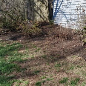 Leaf Removal by Erin's Lawn Cuts reviewed on August 15, 2025