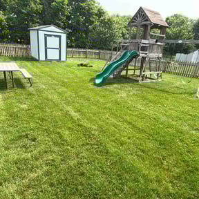 gardening service by Freedom Lawn Care LLC reviewed on August 21, 2025