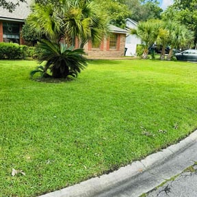 yard work by Tobys Lawns reviewed on August 18, 2025