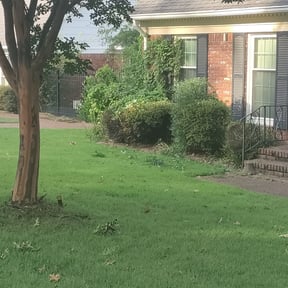 Bush Trimming by Mow & Go reviewed on August 16, 2025