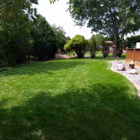 landscaping services by TJ Home Services and Land Care inc reviewed on August 20, 2025