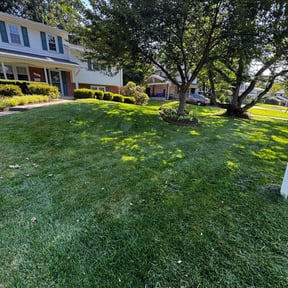 yard maintenance by Phelps Lawn Care reviewed on August 20, 2025