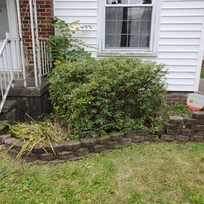 Bush Trimming by S&S Landscaping.. reviewed on August 20, 2025