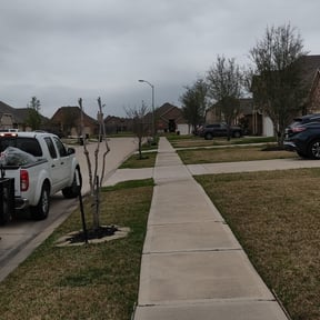 Bush Trimming by Finns landscaping reviewed on August 19, 2025