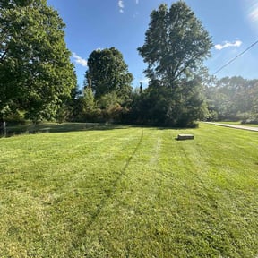 yard maintenance by JT's lawn Care reviewed on August 16, 2025