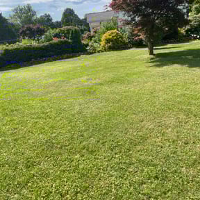 landscaping by DJI LANDSCAPING AND LAWNMOWING SERVICE reviewed on August 16, 2025