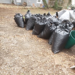 Leaf Removal by Bigdogs Property Maintenance reviewed on September 21, 2025