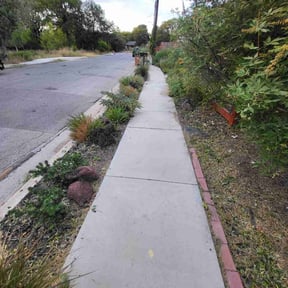 Flower Bed Weeding by Landscaping V&K. reviewed on August 15, 2025