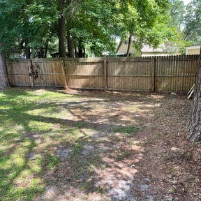 Leaf Removal by Tforcelawns Maintenance reviewed on September 26, 2025