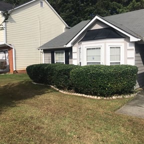 Bush Trimming by Kennedy Snowplow & Yard Care LLC reviewed on August 21, 2025