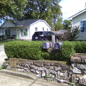Bush Trimming by C & J Mowing reviewed on August 19, 2025
