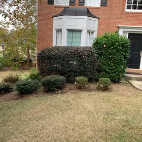 Bush Trimming by R&amp;T lawncare reviewed on August 21, 2025