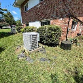 turf maintenance by JMS lawn service reviewed on August 14, 2025