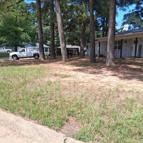 Leaf Removal by Audio Exhibit reviewed on September 6, 2025