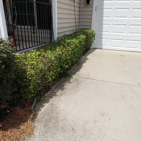 Bush Trimming by ASAIC Mowing Service LLC reviewed on August 19, 2025