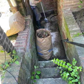 Leaf Removal by Big City Lawn Care reviewed on May 30, 2026