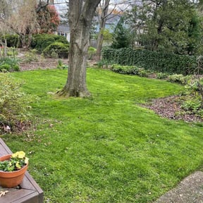 yard care by Brandons lawn care reviewed on August 17, 2025