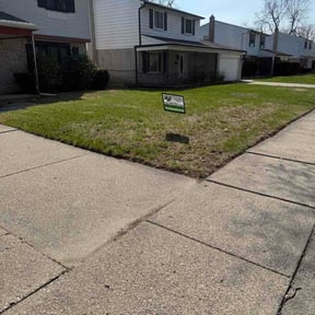 Leaf Removal by Mow It Alls Of Vero LLC reviewed on April 15, 2026