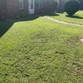 Bush Trimming by MaeRoots reviewed on November 4, 2025