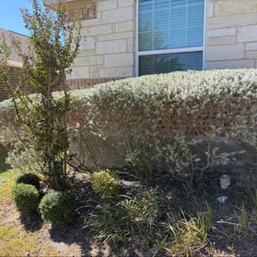 Bush Trimming by North West forest recycling llc reviewed on October 22, 2025