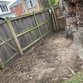 Leaf Removal by Express lawn reviewed on November 30, 2025