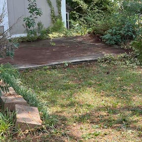 Leaf Removal by Coonradts Lawncare reviewed on July 8, 2026