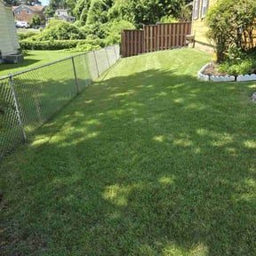 yard care by Greg&#039;s gardens reviewed on November 27, 2025