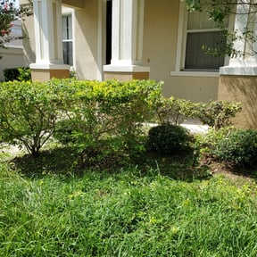 Bush Trimming by Mow Goatz lawn service reviewed on August 20, 2025