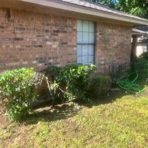 Bush Trimming by Thimothy Smith reviewed on November 25, 2025