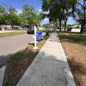 Leaf Removal by College Fund Lawn Care reviewed on May 2, 2026