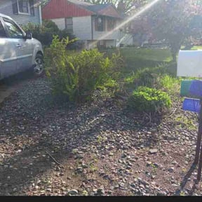 Bush Trimming by K&G Lawncare reviewed on August 20, 2025