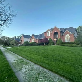 landscaping by The Green Op reviewed on August 20, 2025